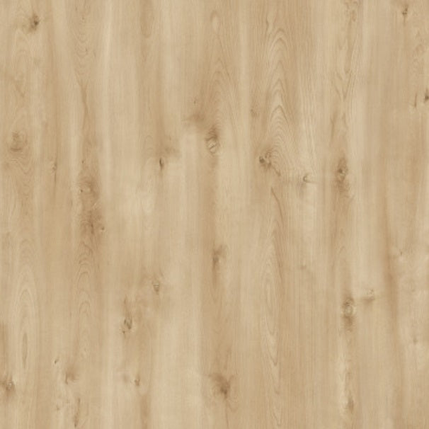 Laminate Flooring PRK113-8MM.AC3/31, Neo Yuka, Bella Neo Collection
