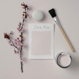 Rust Oleum Chalky Matt Furniture Paint/ China Rose 125ml