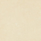 Гранитогрес 60x60см Венус Бейдж MS 3то