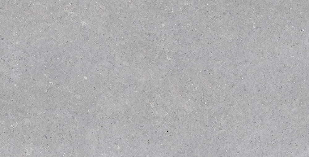 Porcelain Tile Marbocera Salte Concrete Grey 60x120x0.9cm