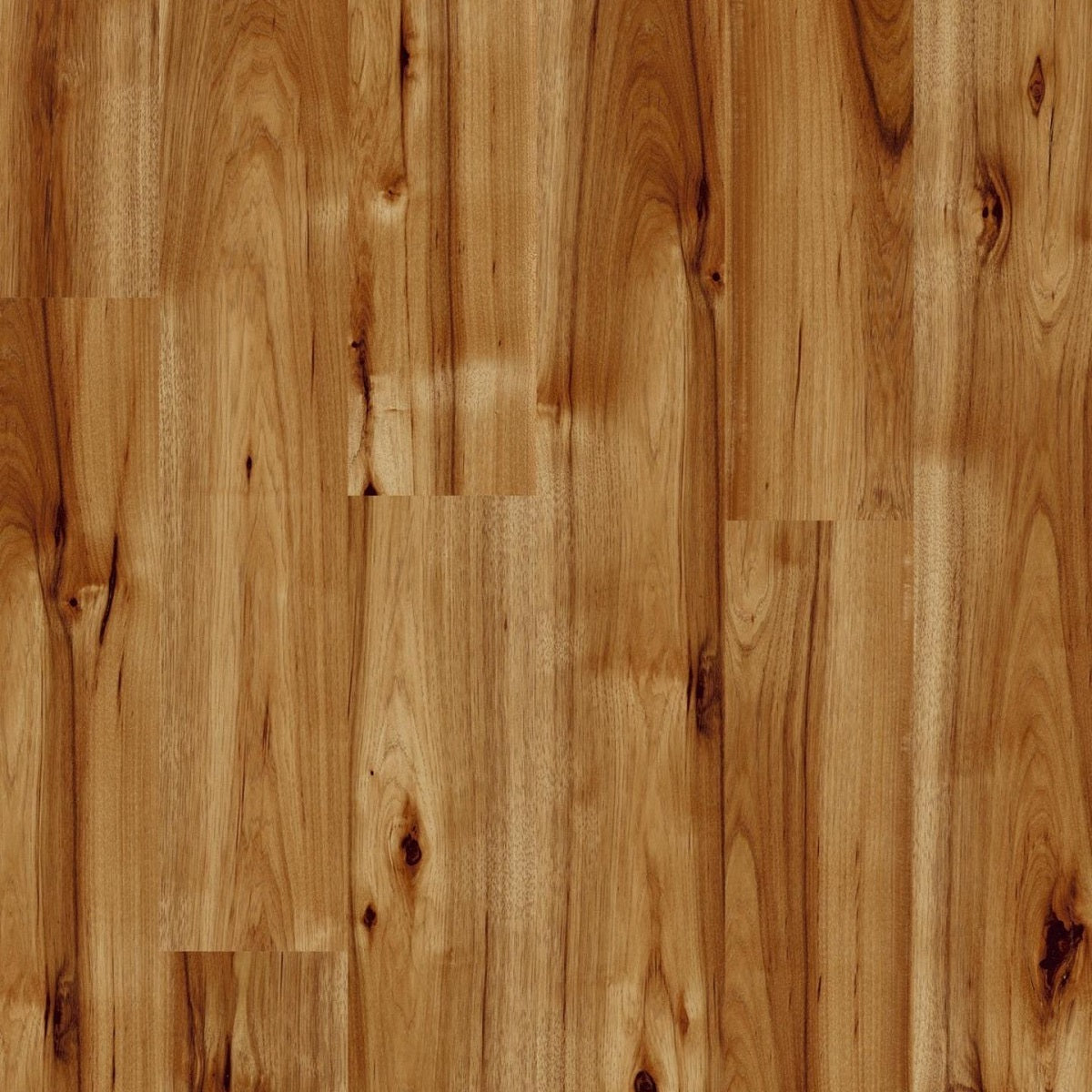 Laminate flooring 8mm Kaindl P80070 AC4/32, Oak Versaille Highgloss, Premi V4 Hickory Bravo