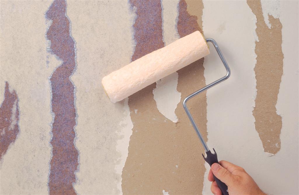 ZINSSER GARDZ грунд за постна боя, винервайс и за запечатване на лепило от тапети /1L