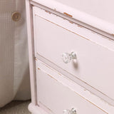 Chalky Finish Furniture Paint Spray/ China Rose